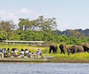 Chobe Day Trips